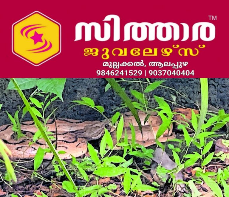 newskerala.net_1756800722_viper-capture-vaikom-1