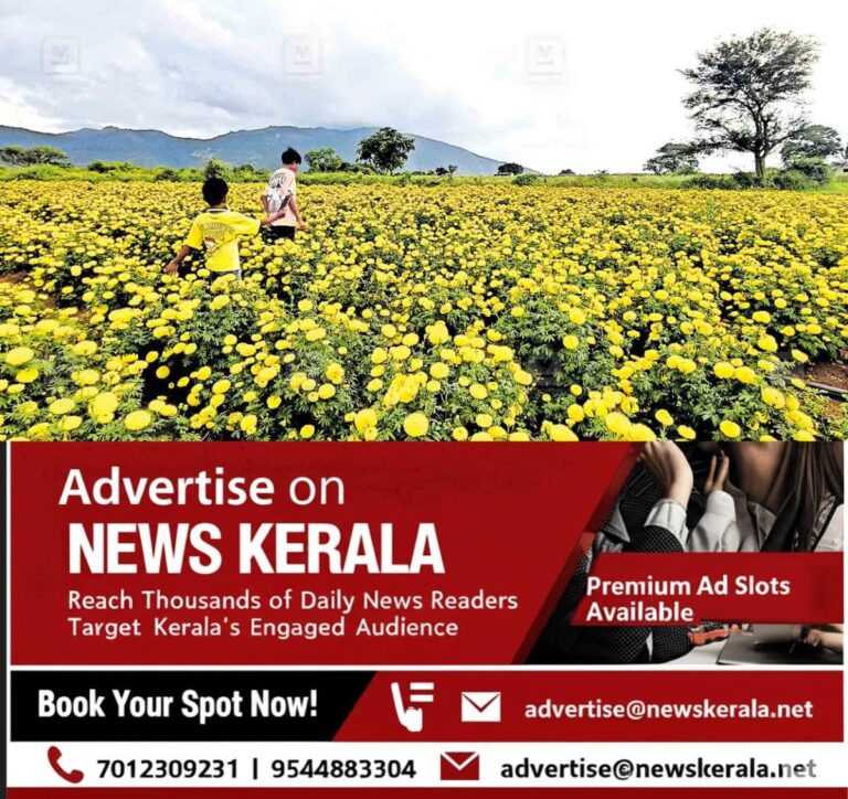 newskerala.net_1756841172_sunflower-field