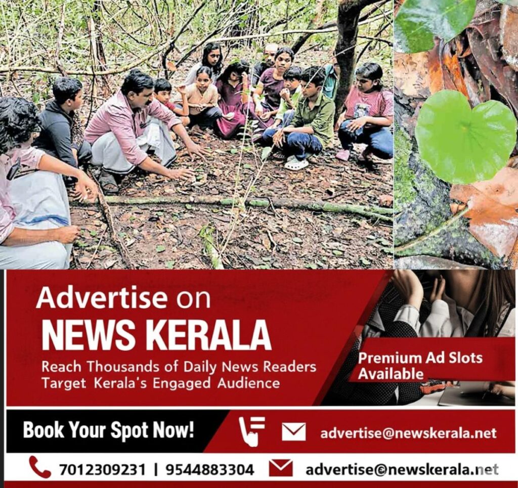 newskerala.net_1756871282_kasargod-observation-orilathamara-edayilekkadu