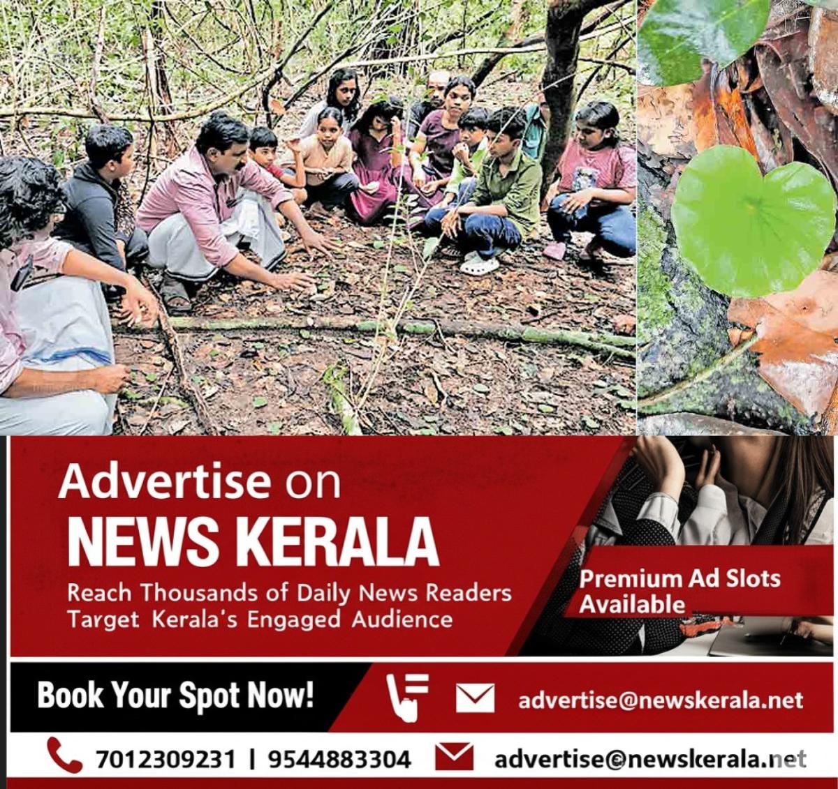 newskerala.net_1756871282_kasargod-observation-orilathamara-edayilekkadu