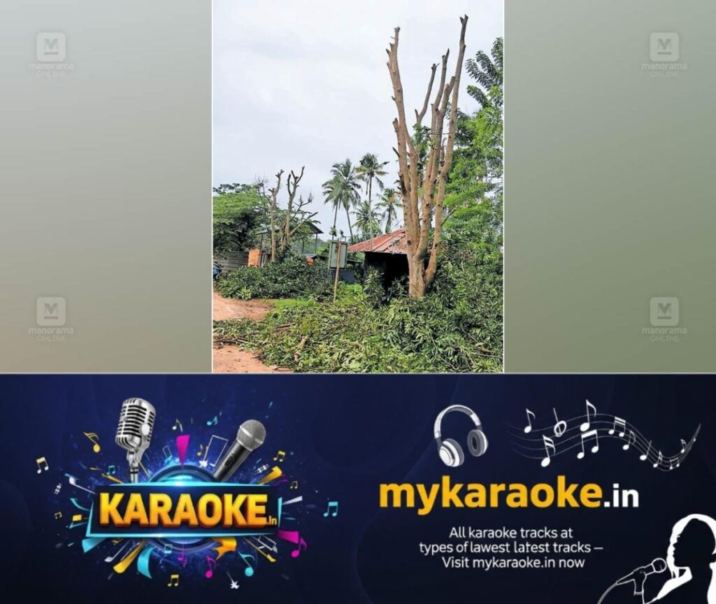 newskerala.net_1756877764_tree-cutting