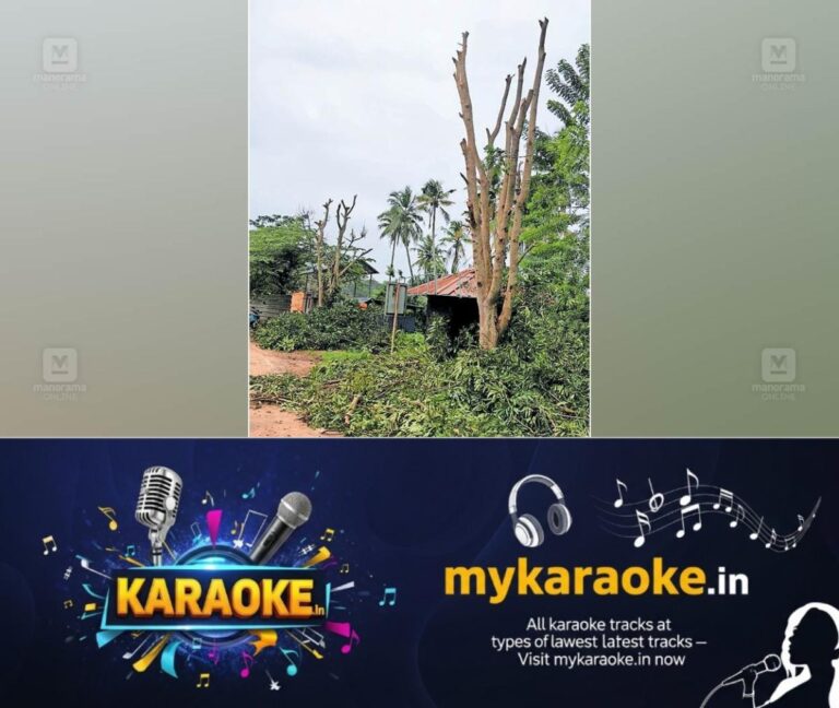 newskerala.net_1756877764_tree-cutting