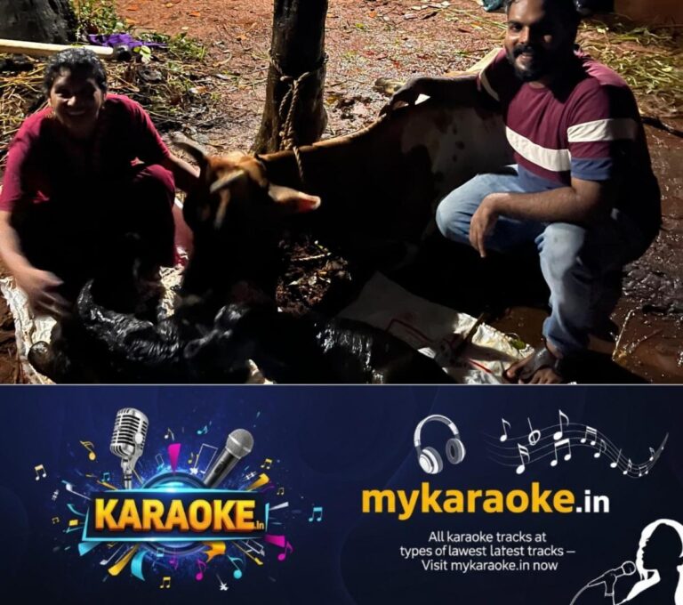 newskerala.net_1756891213_w-1280h-720format-jpgimgid-01k47cg6cq742y9zb2v70sefdmimgname-twin-cow-1756889618838
