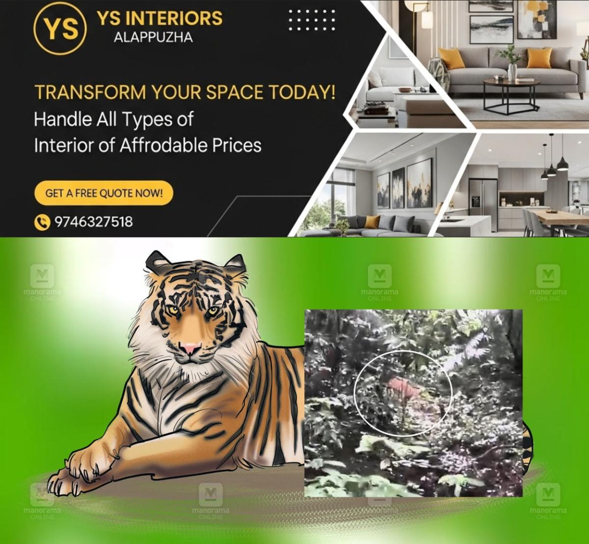 newskerala.net_1756895440_kakkayam-dam-tiger-sighting-1