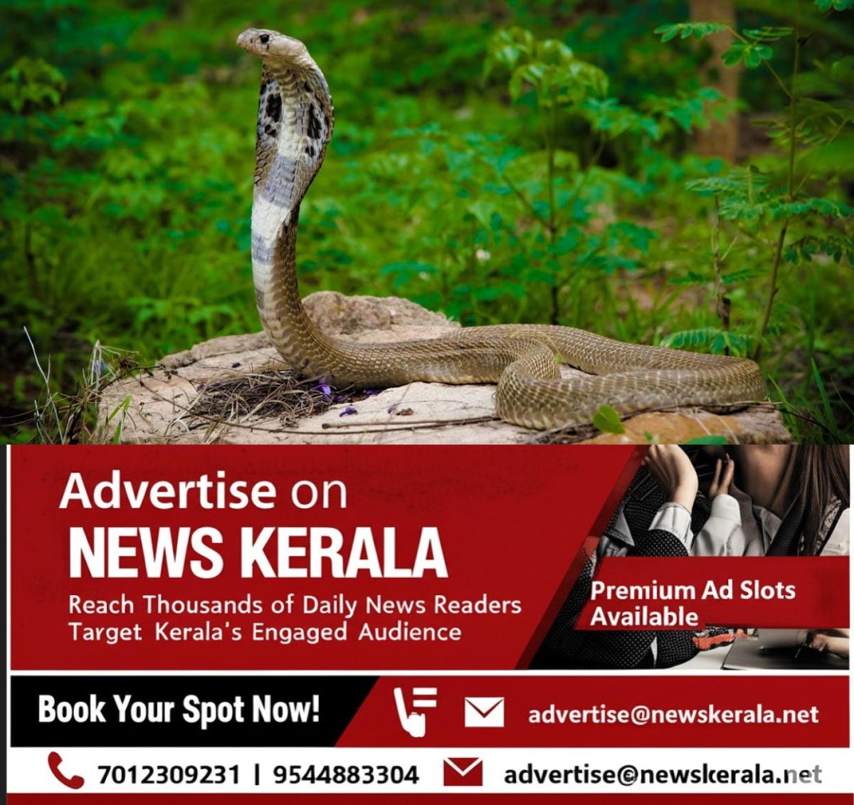 newskerala.net_1757043962_snake