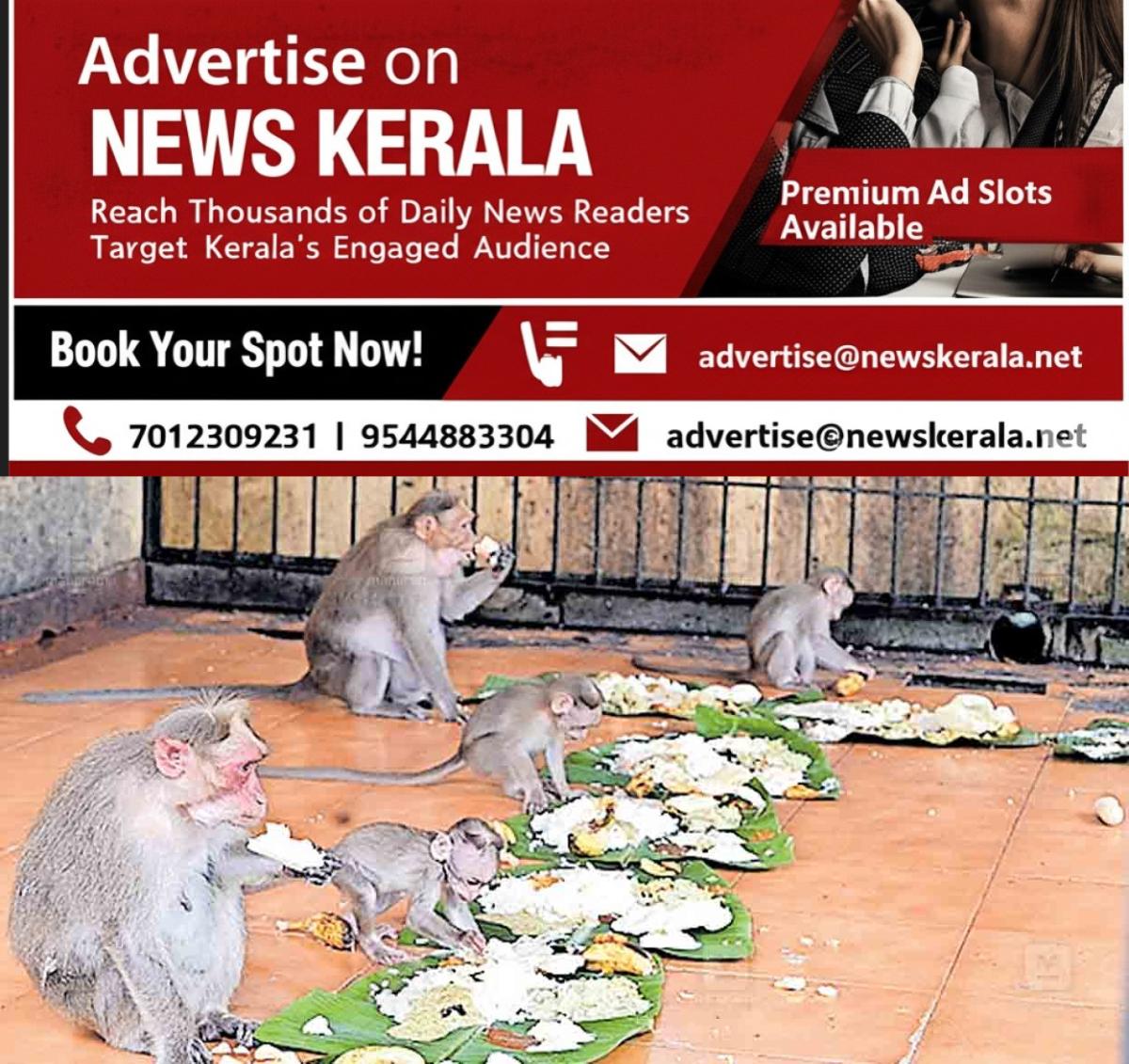 newskerala.net_1757052485_kollam-sasthamkotta-temple-onam-sadhya-monkeys