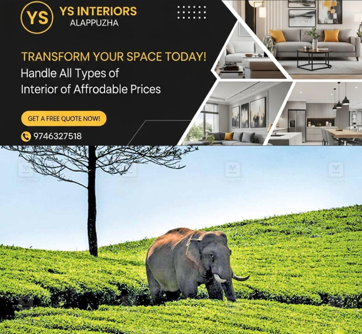 newskerala.net_1757052631_1757052491_wild-elephant