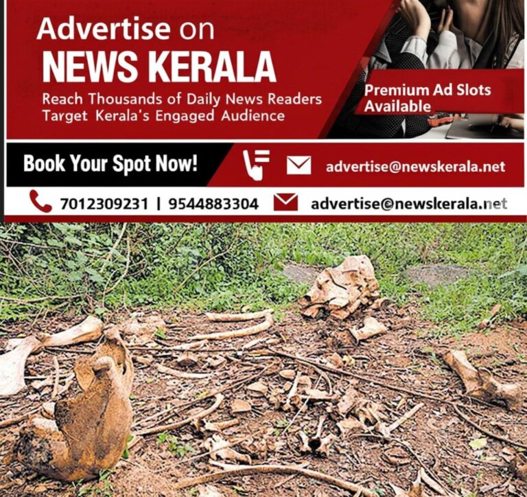 newskerala.net_1757059322_wild-elephant-parts