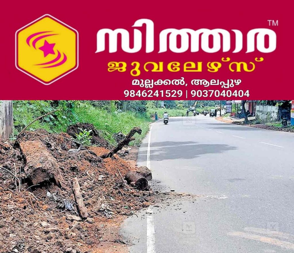 newskerala.net_1757233084_thengana-road-issue