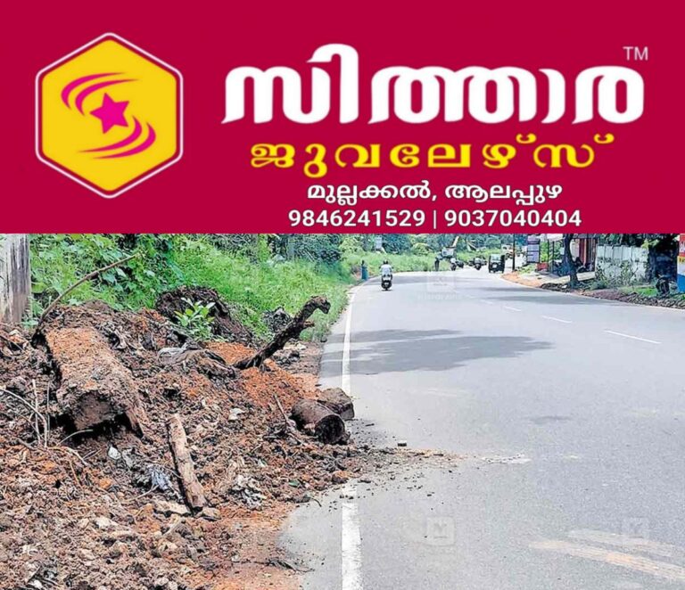 newskerala.net_1757233084_thengana-road-issue