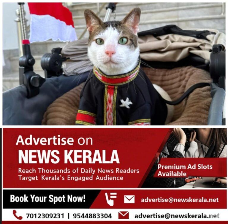 newskerala.net_1757339429_w-1280h-720format-jpgimgid-01k4mr5vatkcn1kbgm625hs3vhimgname-indonesia-s-first-cat-bobby-17573