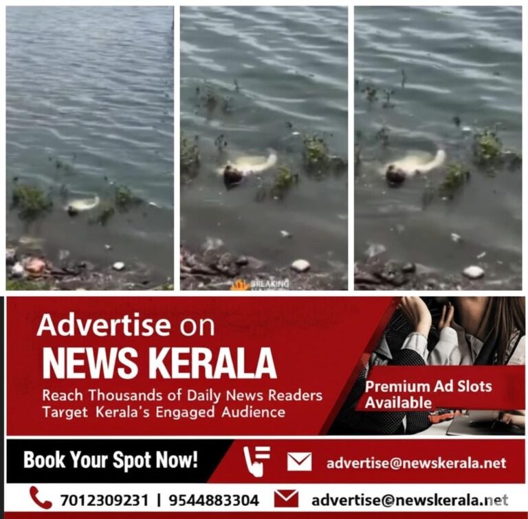 newskerala.net_1757351308_w-1280h-720format-jpgimgid-01k4n4g4y1ga4x1tkkswd3z0wwimgname-restaurant-turning-into-a-battlefie