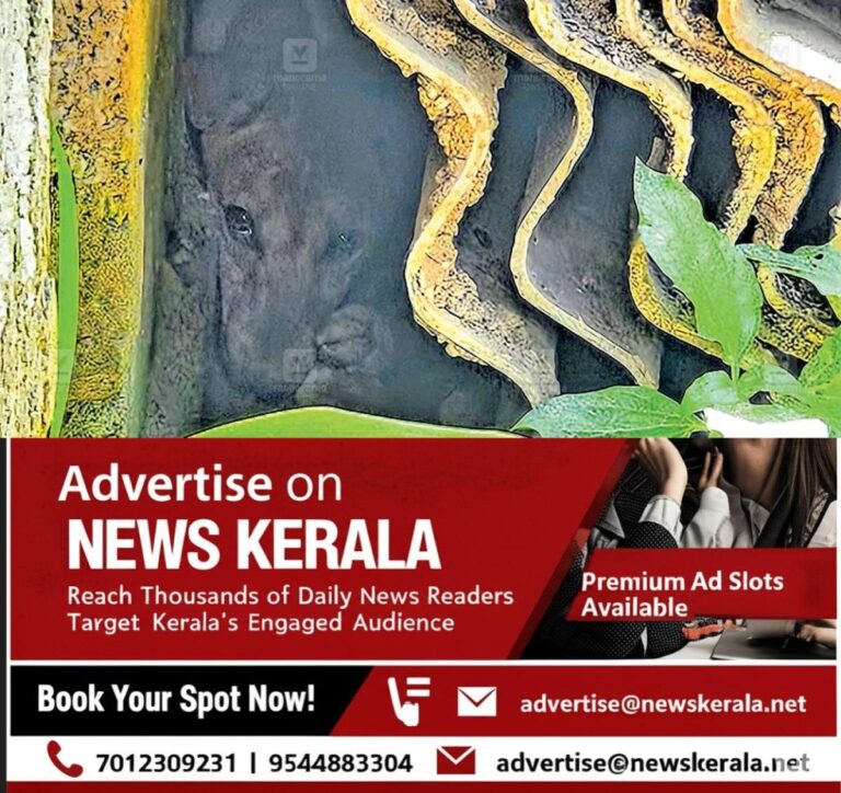 newskerala.net_1757358841_stray-dog-attack