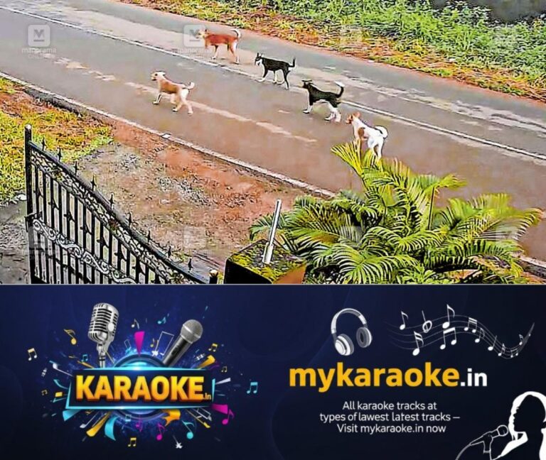 newskerala.net_1757402781_pallikkara-stray-dogs