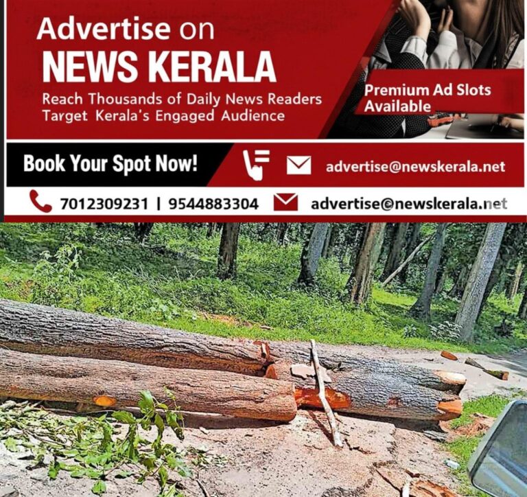 newskerala.net_1757446081_woods-traffic-block