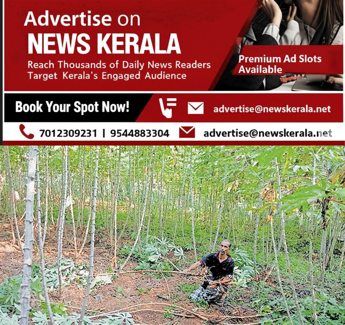 newskerala.net_1757456761_chenganoor-tapicco
