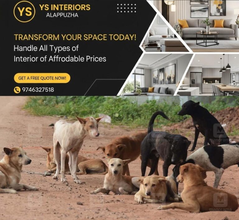 newskerala.net_1757483402_stray-dogs-menace