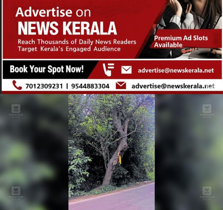 newskerala.net_1757487362_chittilancheri-dangour-tree