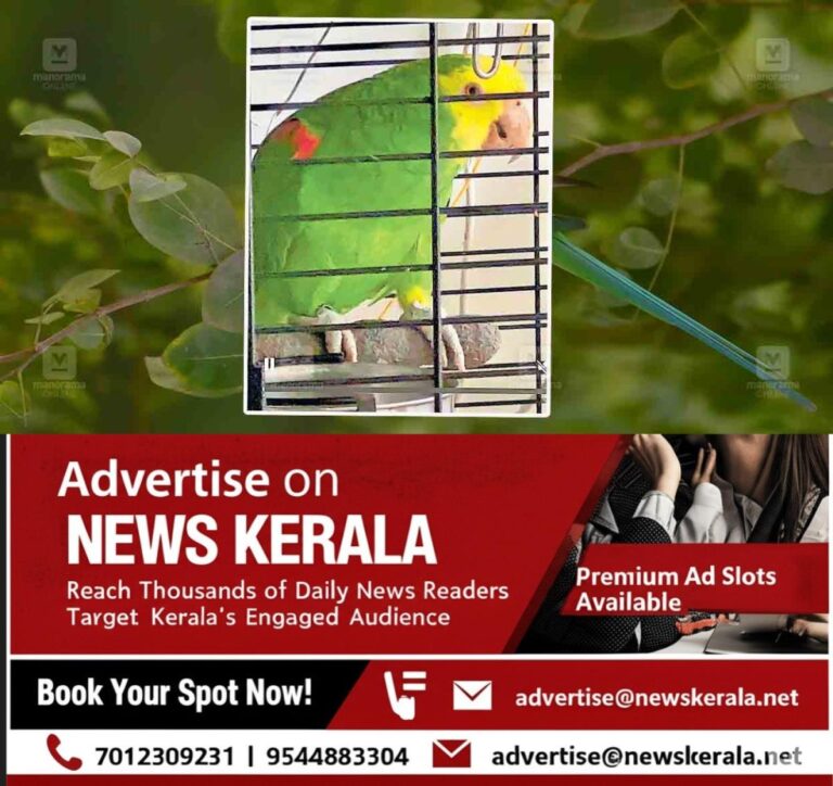 newskerala.net_1757496629_yellow-parrots-missing