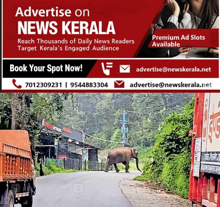 newskerala.net_1757527106_gudallur-wild-elephant