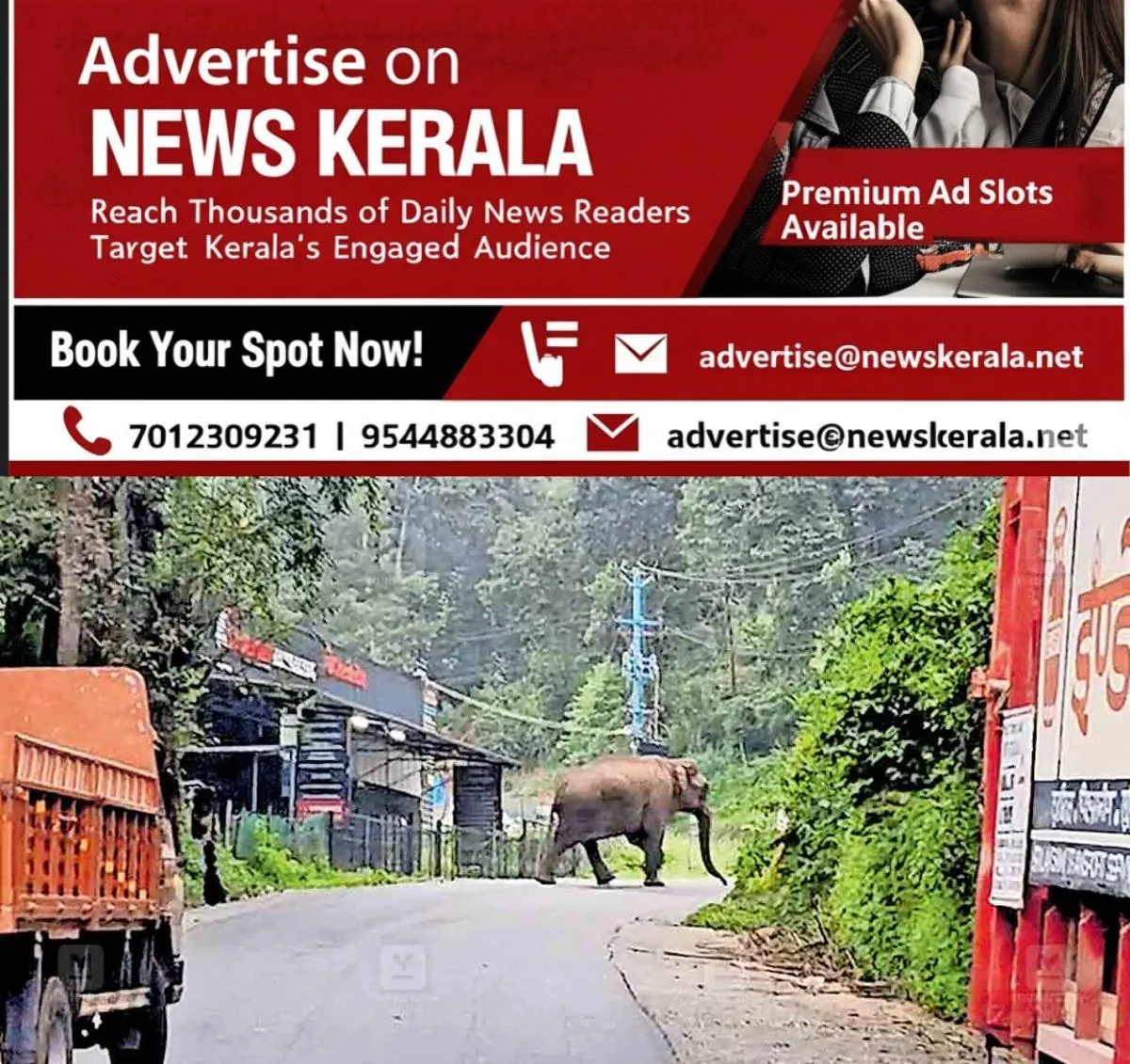 newskerala.net_1757527106_gudallur-wild-elephant