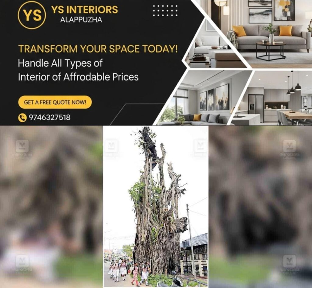 newskerala.net_1757563828_kollam-banyan-tree-sn-college-junction