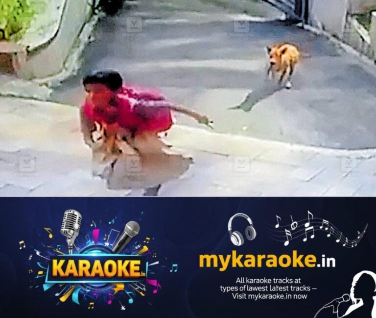 newskerala.net_1757566585_street-dogs-attack