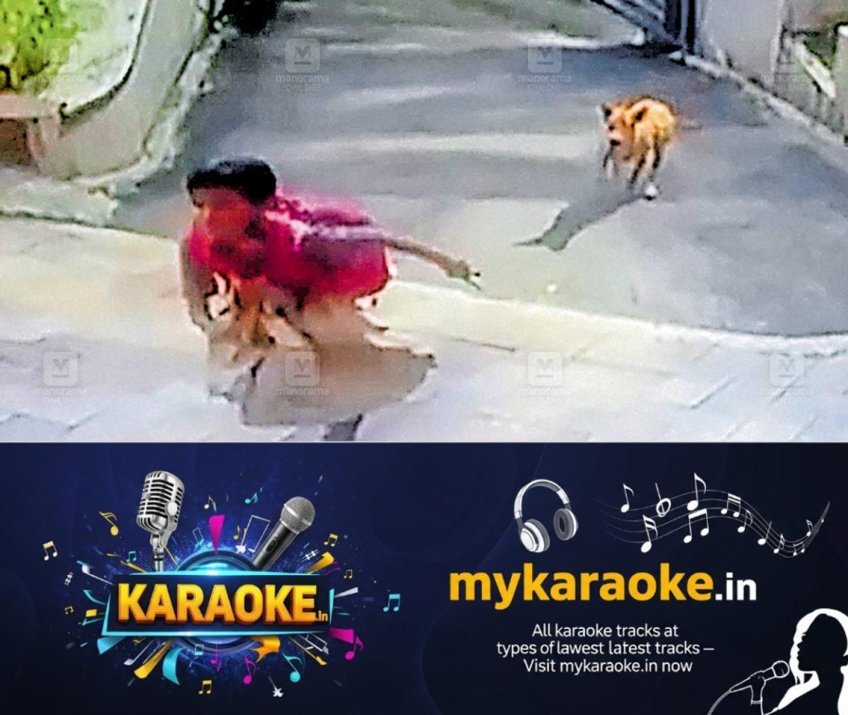 newskerala.net_1757566585_street-dogs-attack