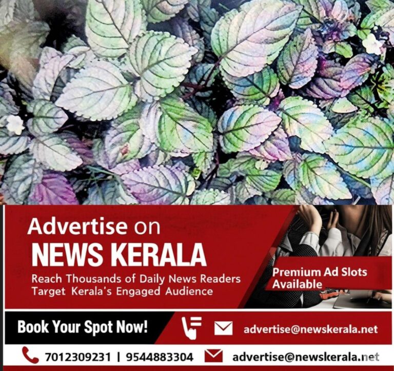 newskerala.net_1757638444_red-flame-ivy-herbal-plant