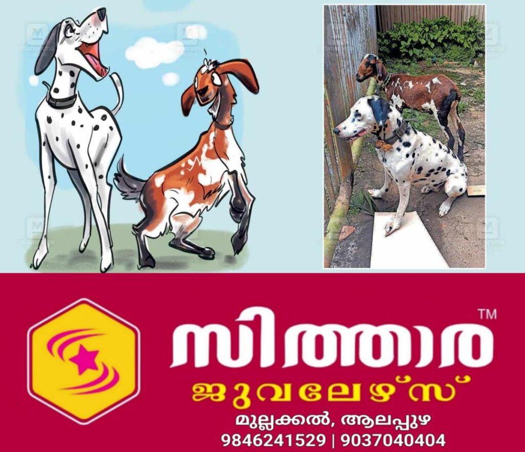 newskerala.net_1757647202_dog-and-goat-friendship