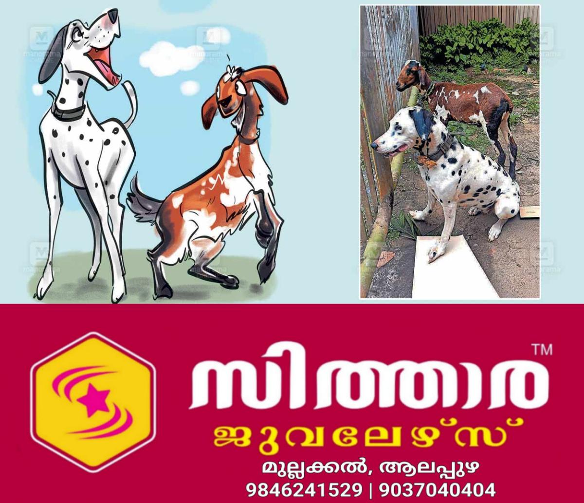 newskerala.net_1757647202_dog-and-goat-friendship