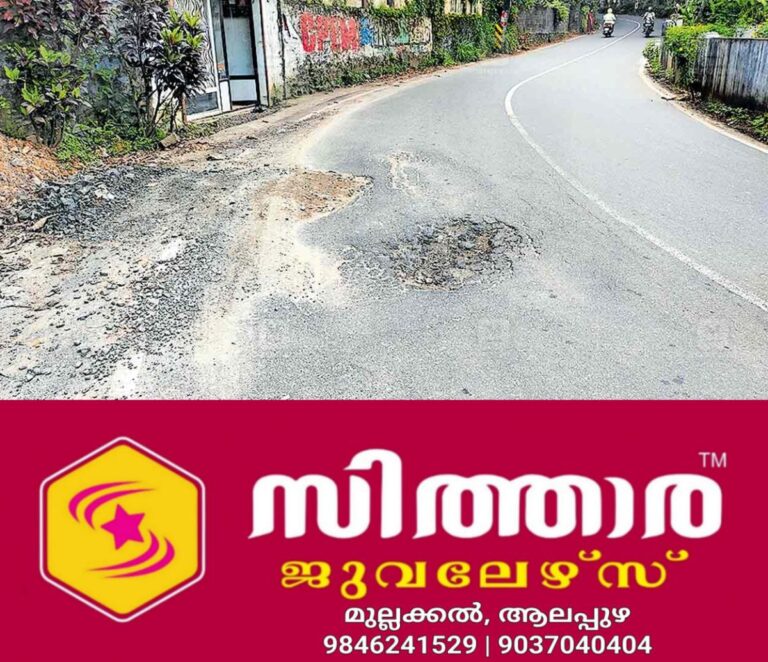 newskerala.net_1757653203_thodupuzha-road-damage