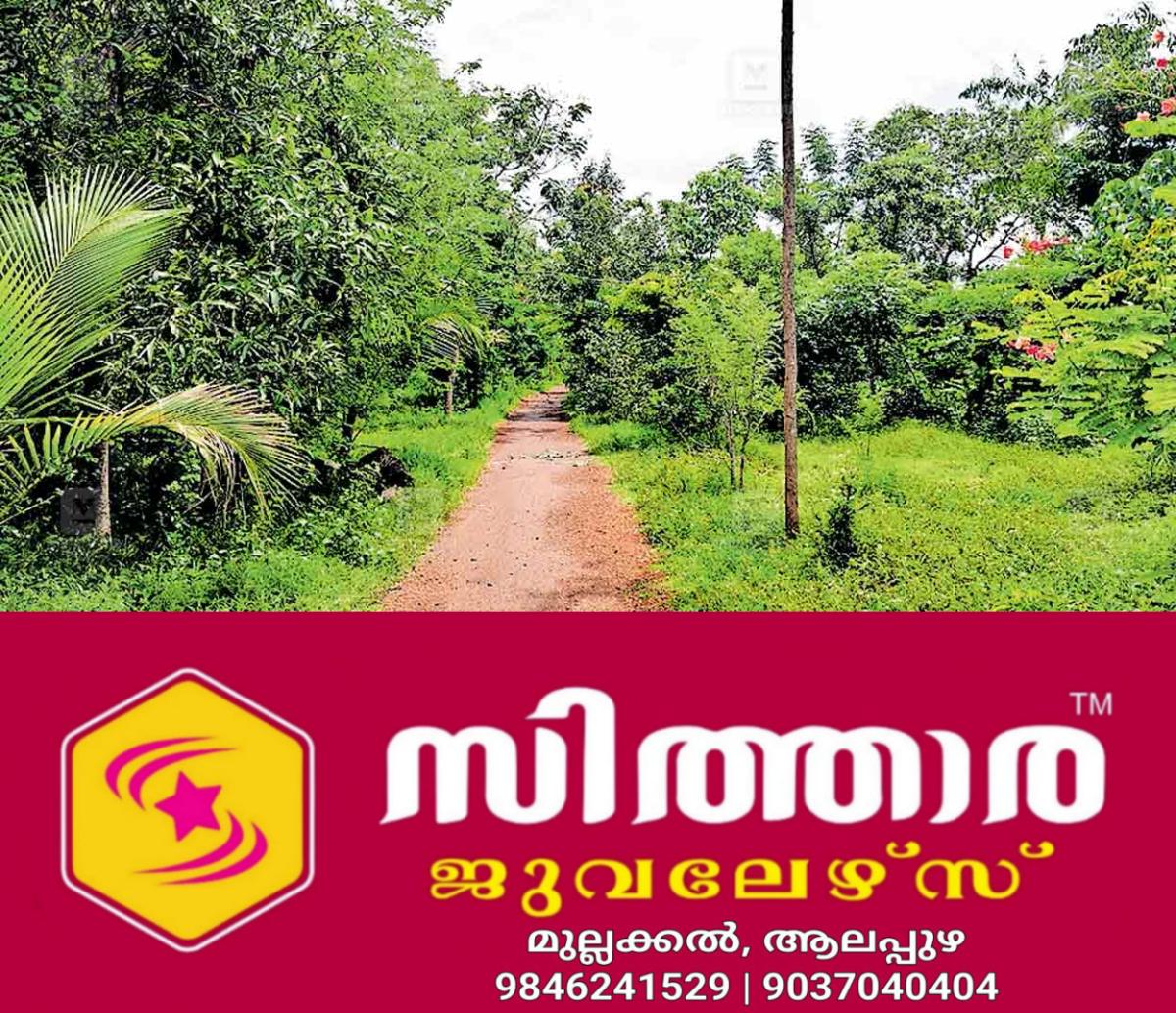 newskerala.net_1757657046_kaduthuruthy-green-road