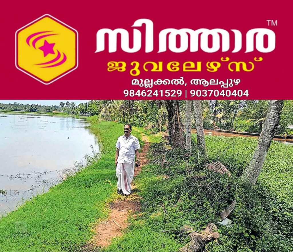 newskerala.net_1757659325_pathanamthitta-chathenkary-paddy-field-outer-bund