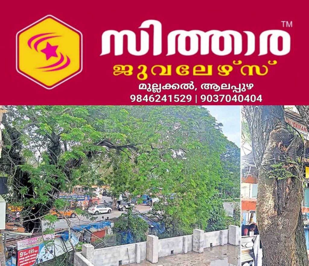 newskerala.net_1757661243_pathanamthitta-shade-tree-leaning-over-building-of-vadasserikkara-govt-lp-school