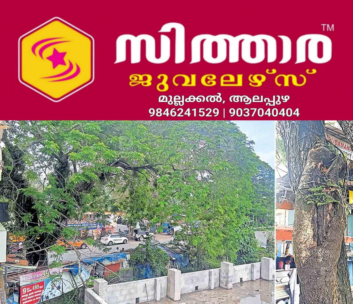 newskerala.net_1757661243_pathanamthitta-shade-tree-leaning-over-building-of-vadasserikkara-govt-lp-school