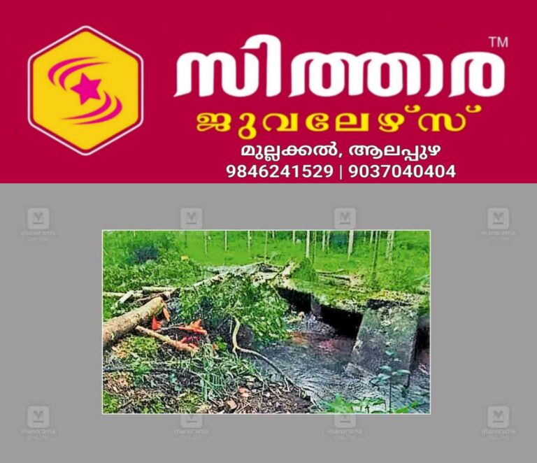 newskerala.net_1757664242_delayed-bridge-reconstruction