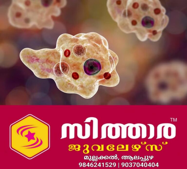 newskerala.net_1757688122_w-1280h-720format-jpgimgid-01k4grg2h0pbsv8crt5e3zzykzimgname-amoebic-meningoencephalitis-2233382