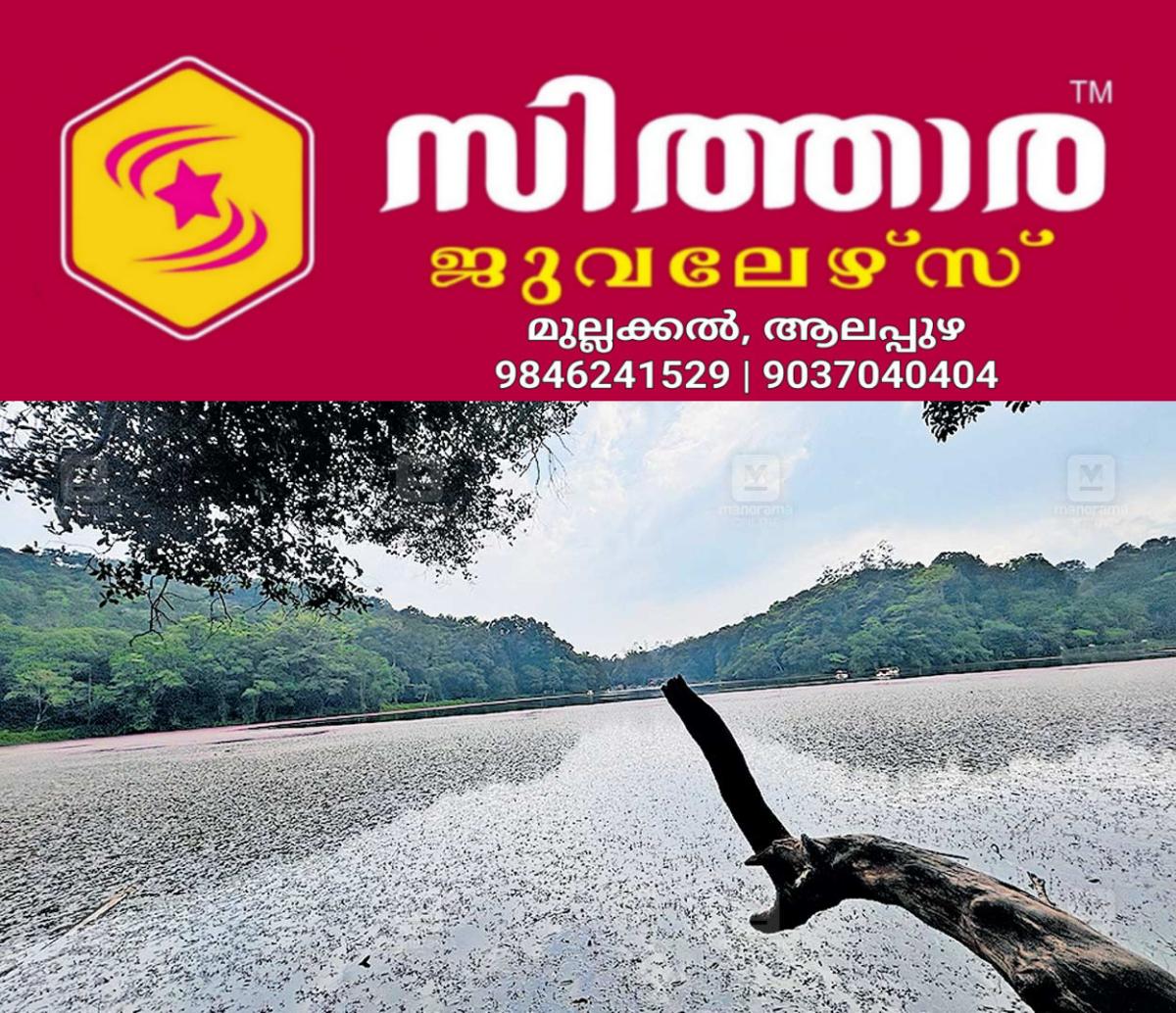 newskerala.net_1757707442_pookodu-pond