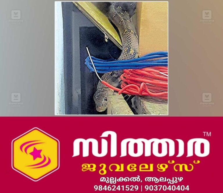newskerala.net_1757708643_1757708435_snake