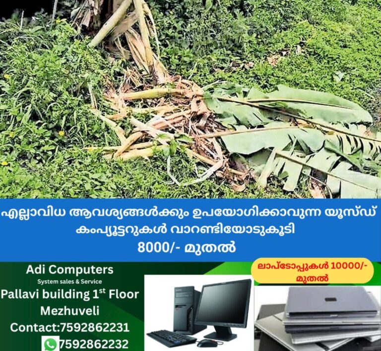 newskerala.net_1757713227_kattikulam-wild-elephant-attack