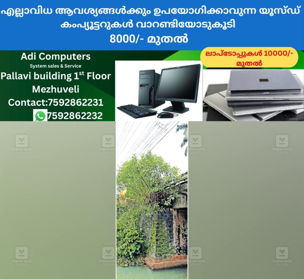 newskerala.net_1757716322_tree
