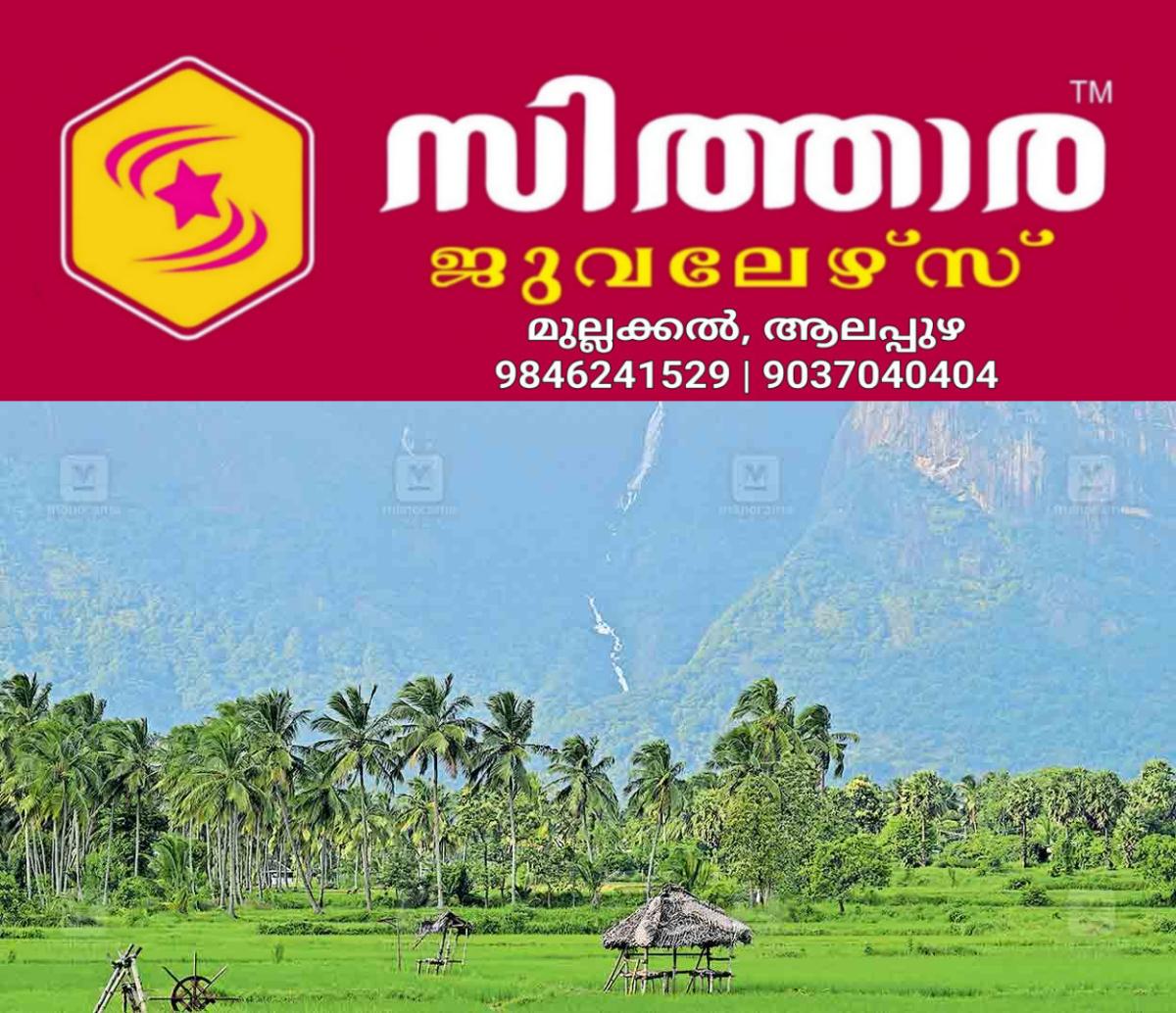 newskerala.net_1757736843_palakkad-tourist-plot
