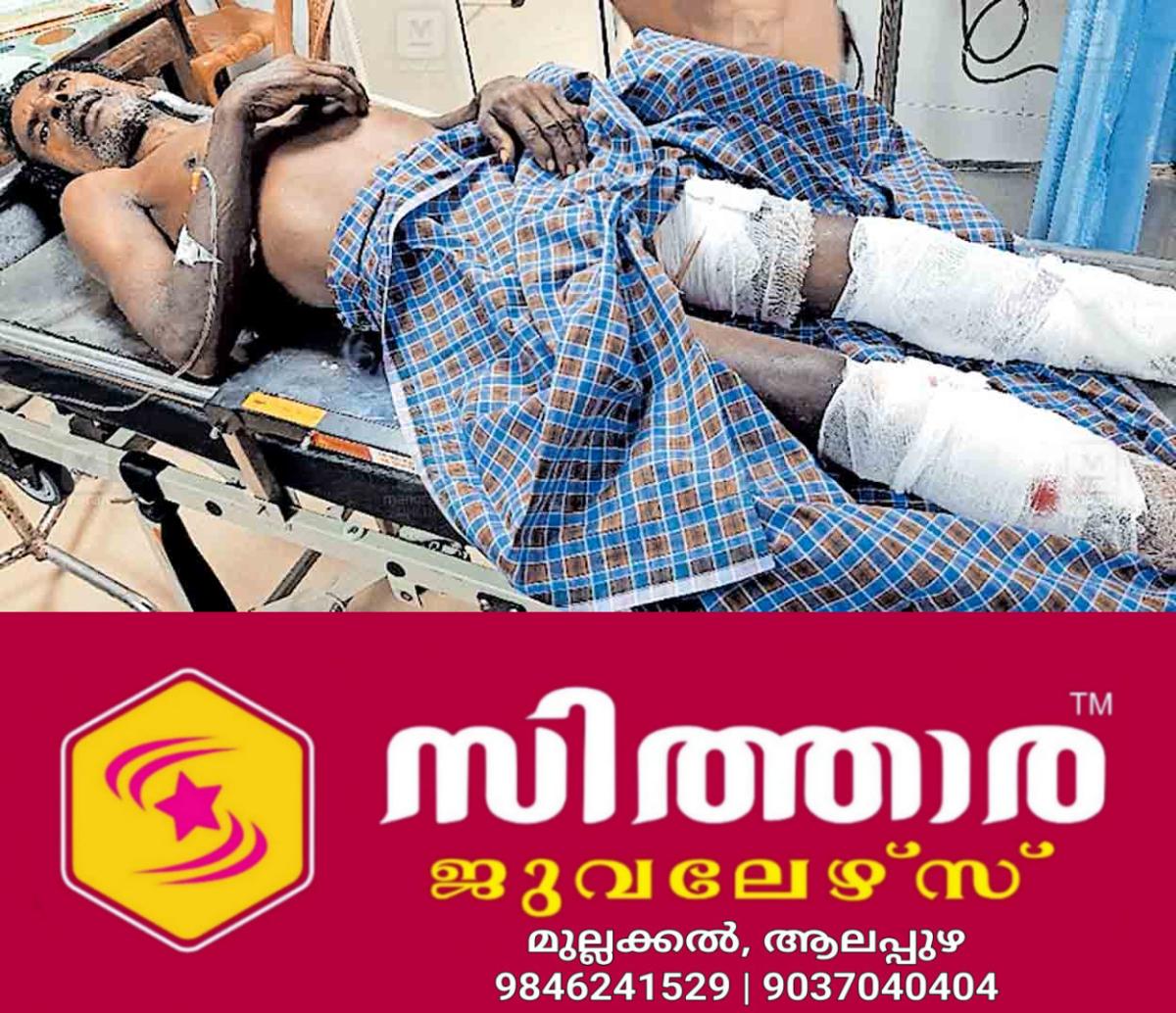 newskerala.net_1757738524_pathanathitta-rakhavan