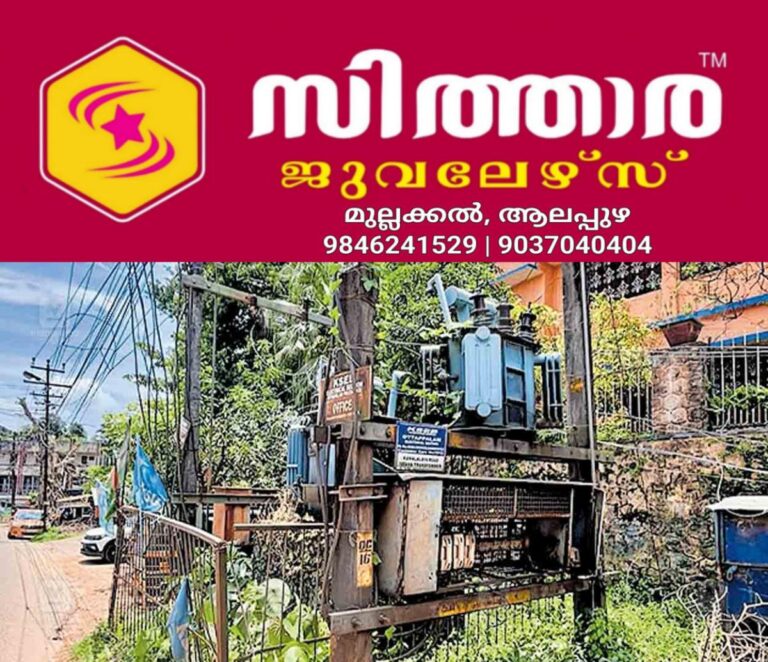 newskerala.net_1757740807_palakkad-cherppulassry-road-tranformer