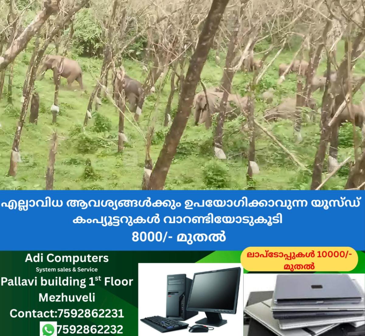 newskerala.net_1757742963_wild-elephant-attack-kerala-plantation-estate-chakkittapara-kozhikode