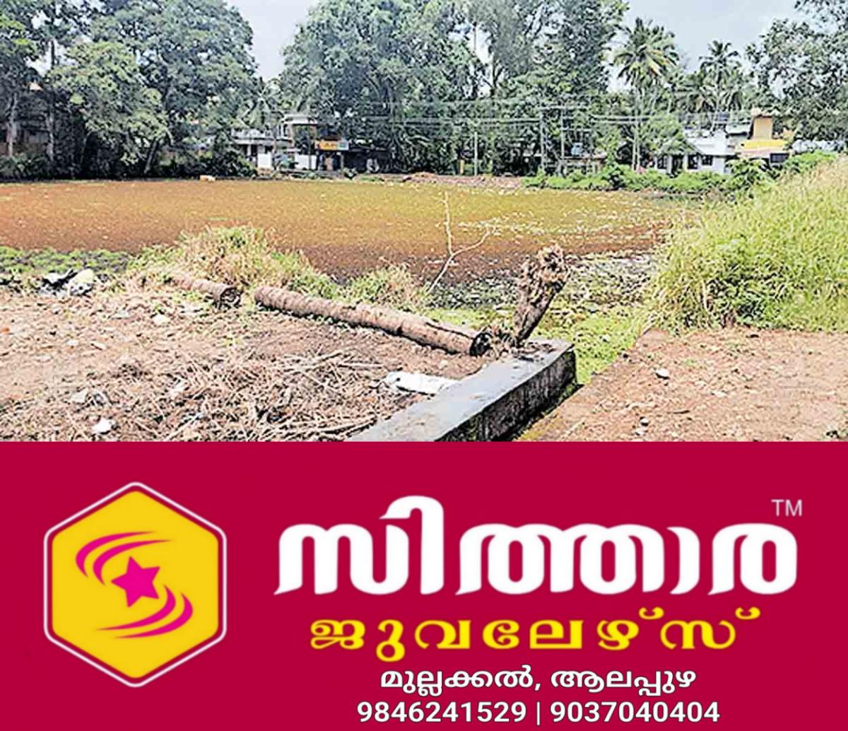 newskerala.net_1757749805_alappuzha-vellurkulam-pond