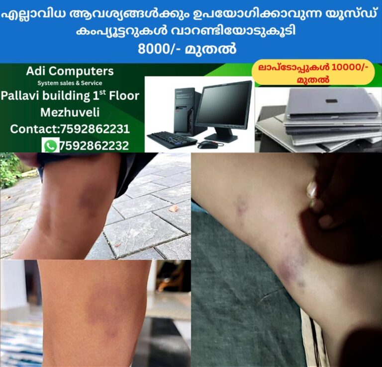newskerala.net_1757751482_w-1280h-720format-jpgimgid-01k511gpvp8017d7wbzxwqk911imgname-fotojet-47-1757750516598