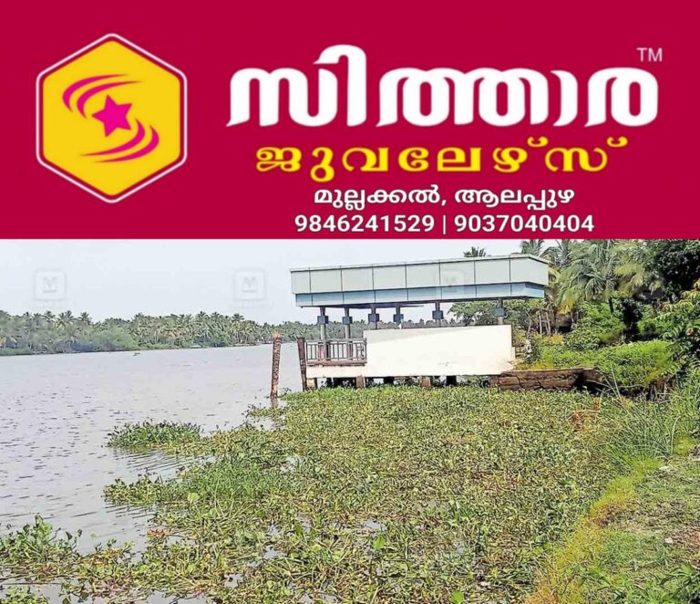 newskerala.net_1757753773_alappuzha-water-hyacinth-kayamkulam-backwater