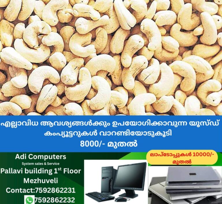 newskerala.net_1757766989_Cashew-nut